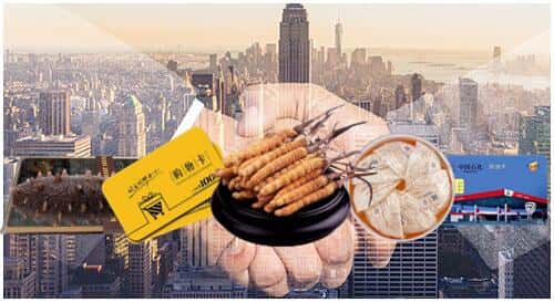 东营市广饶回收礼品