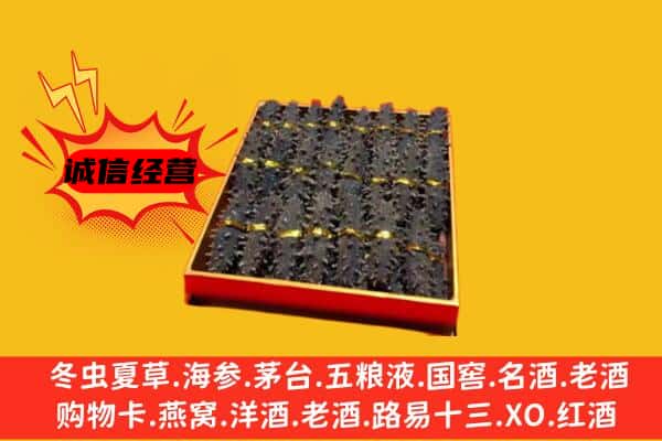 东营市广饶回收海参