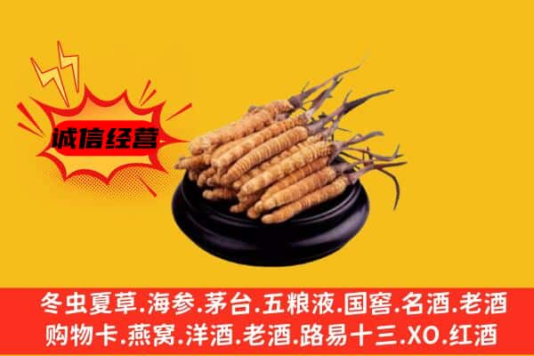 东营市广饶回收虫草